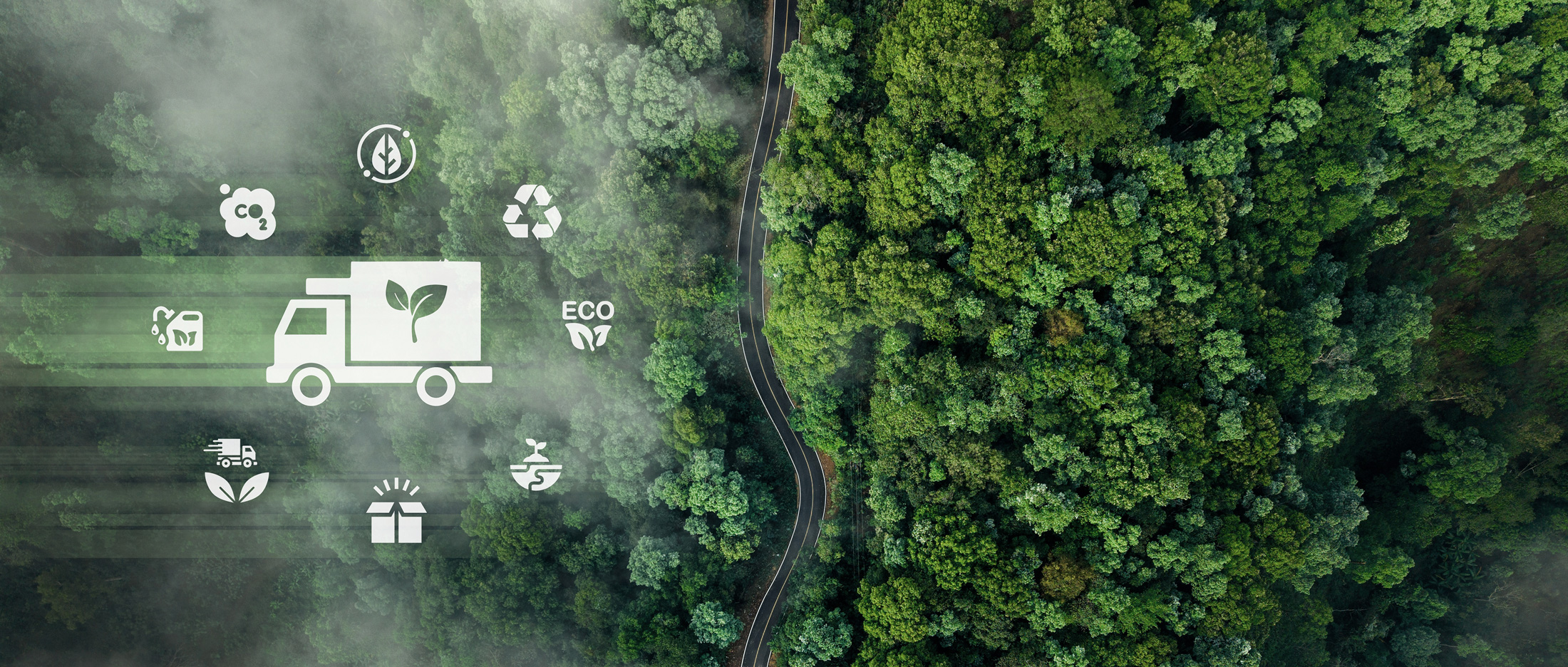 Perché la Sostenibilità è la migliore decisione di business da prendere